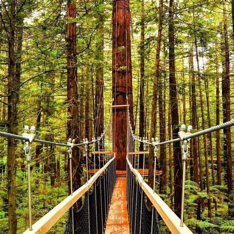 Best Bridges Of New Zealand New Zealand