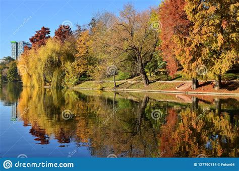Colorful Trees Reflected In Lake Water Autumn Season Stock Photo