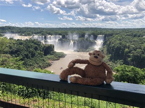 Review Iguazu Grand Resort Iguazu Falls Argentina Monkey Miles