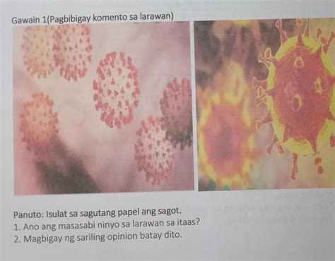 Panuto Isulat Sa Sagutang Papel Ang Sagot Ano Ang Masasabi Ninyo Sa