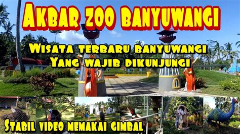 Mirah fantasia adalah taman hiburan, kebun binatang, taman air, tempat menarik lokasi pada jl. Kebun Binatabg Banyuwangi / Selain sebagai tempat rekreasi ...