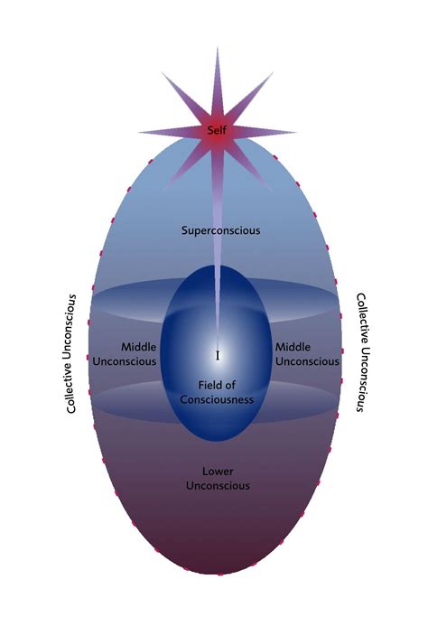 Assagioli's (founder of Psychosynthesis) model of consciousness