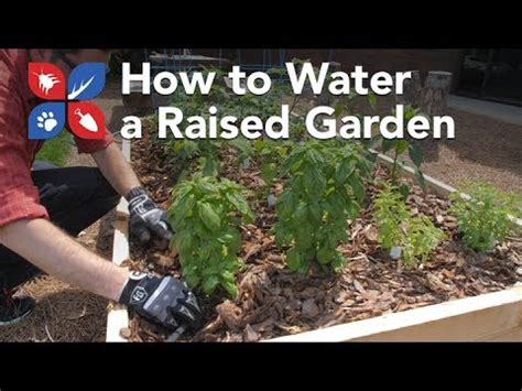 Calculate how much soil you will need. Do My Own Gardening - How to Water a Raised Garden Bed ...