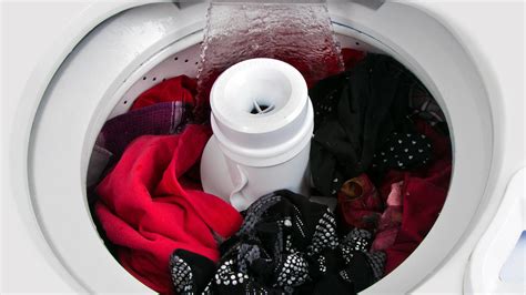washing machine not filling with enough water flamingo appliance service