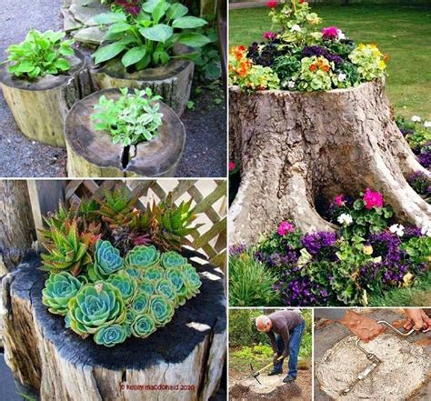 How To Create A Tree Stump Planter Wondering What To Do With That Old
