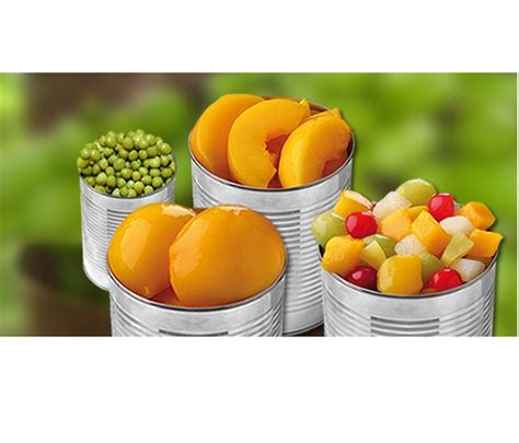 Canned Vegetables Exporters In India