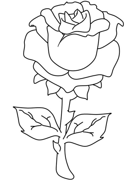 Dibujos de rosas para colorear descargar e imprimir Colorear imágenes