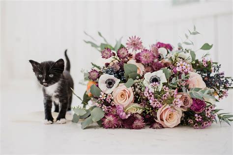 The Purrfect Day Super Cute Kitten Wedding Inspiration Boho