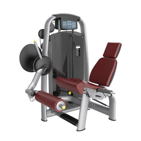 Commercial Indoor Seated Leg Extension Machine Gym Equipment China