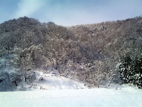 Dsc0506 Snow Scenes Toyama Scene