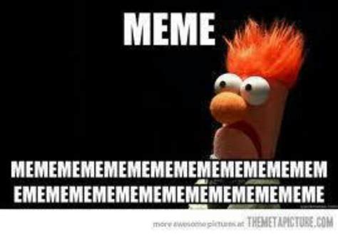 Pin By Amanda Alexander On Laughs Sesame Street Memes Muppets