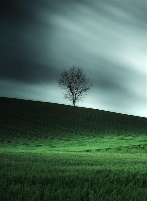 Lonely Tree Nature Photography Landscape Photography Beautiful