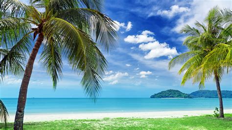 The Best Beach Zoom Background For When Youre Dreaming Of A Tropical