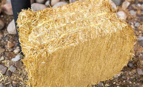 Certified Straw Compressed Bale Standlee Premium Forage