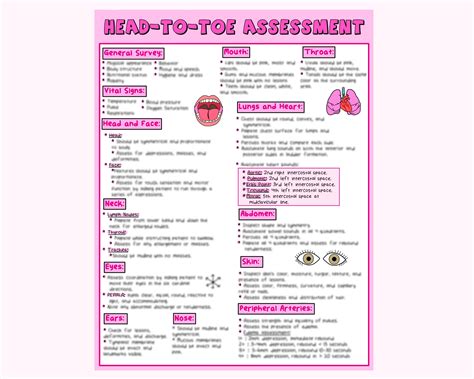 Head To Toe Assessment Nursing Study Guide Etsy Hong Kong