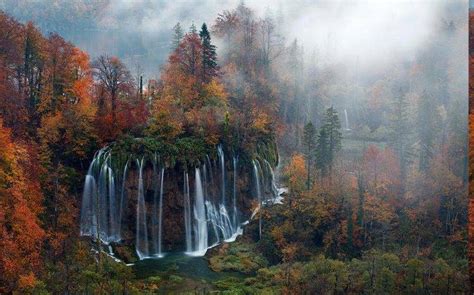 Nature Landscape Waterfall Forest Mist Morning Trees