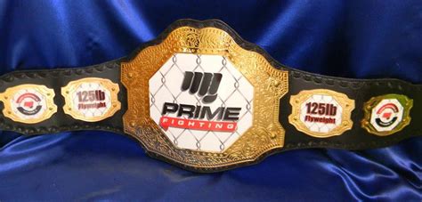 Octagon Gold Championship Title Belt