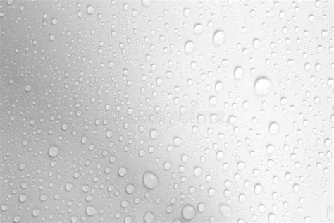 Water Drop On White Background Stock Image Image Of Surface Drop