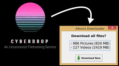 How To Download Cyberdrop All Pictures And Videos At Once Youtube
