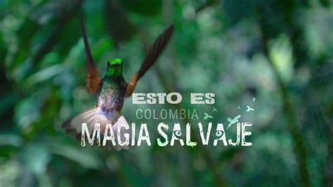 Colombia Magia Salvaje2015netflixmp4960x540 Identi