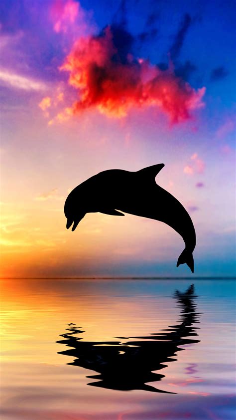 2160x3840 Dolphin Jumping Out Of Water Sunset View 4k Sony Xperia Xxz