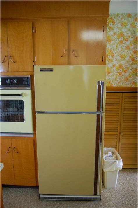 Refrigerators Through The Decades Big Chill Vintage Kitchen Vintage