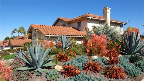 Xeriscaping Saves Water Adds Beauty Agrilife Today