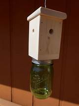 Images of Ace Hardware Carpenter Bee Traps