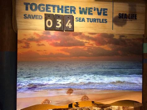 Our Visit To The Sea Turtle Rescue Center At Sea Life Grapevine