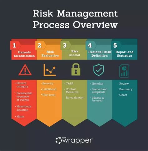 Risk Management Process Steps