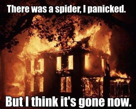 Spider Burn The House Down Friday Funny Pictures Funny Pictures