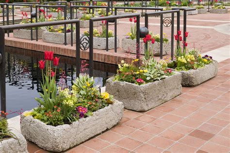 Maybe you would like to learn more about one of these? Creating Hypertufa Troughs at the Garden - My Chicago ...