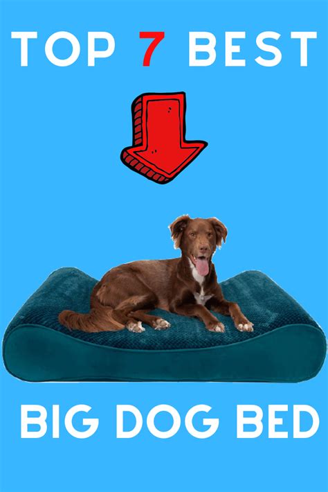 Take a trip into an upgraded, more organized inbox. Best Dog Beds For Large Dogs 2020. in 2020 | Cool dog beds ...