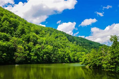 Green Forest Landscape Mountain Forest Forest Lake In The Mountains