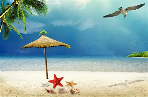 Tropical Hd Wallpaper Background Image 3500x2309 Id
