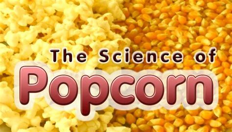 Why Does Popcorn Pop General Knowledge Mocomi Kids Science Fair