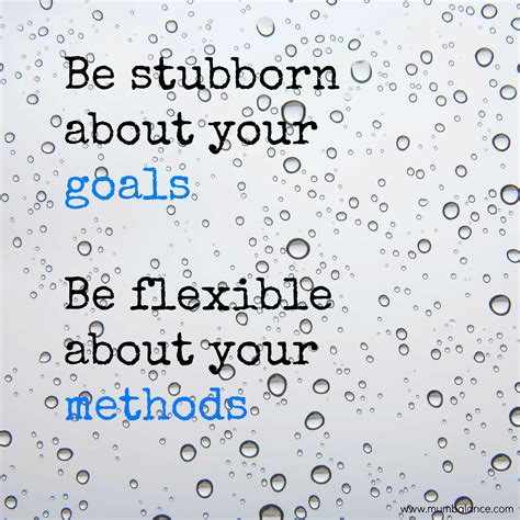 Be Stubborn About Your Goals Be Flexible About Your Methods