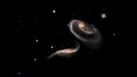 Nasa Svs A Rose Of Galaxies Interacting Galaxies Arp 273