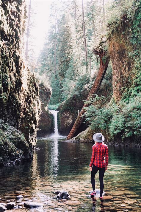 10 Amazing Waterfall Hikes In Oregon | Waterfall hikes, Oregon