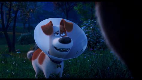 Watch hd movies online for free and download the latest movies. The Secret Life of Pets 2 Rooster Trailer - YouTube