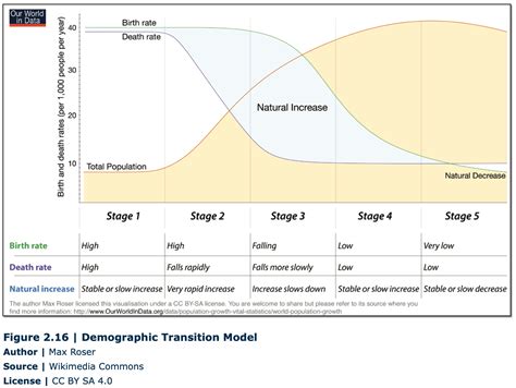 ️the Demographic Transition Model Worksheet Free Download