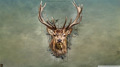 67 Deer Wallpapers On Wallpaperplay