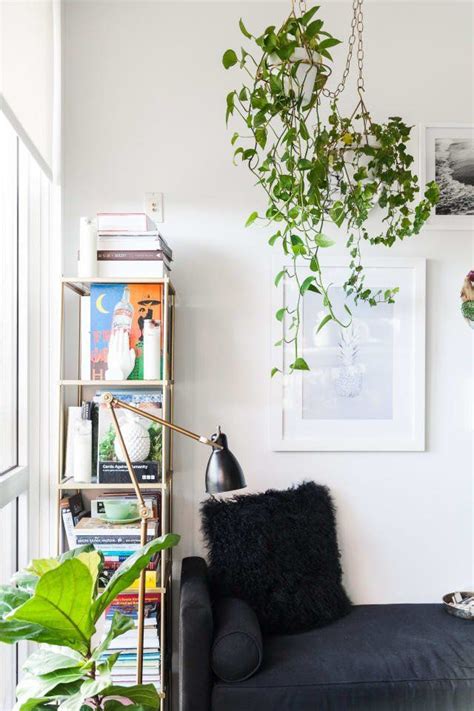 Easy Plants To Grow Indoors Apartment Therapy Plant Apartment