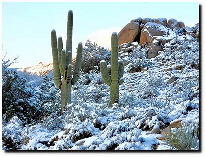 Desert Snow Feet Sonoran Foot Climate Cold