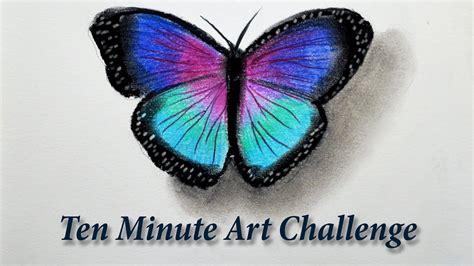 10 Minute Drawing Challenge Butterfly With Pastels Youtube