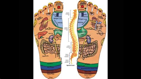 Foot Reflexology Map For Beginners 3 Youtube