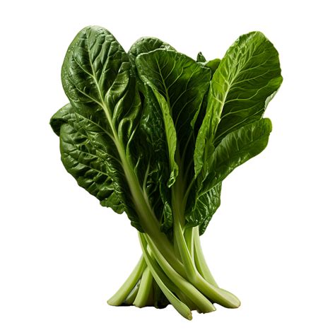 Ai Generated Bok Choy Png Isolated On Transparent Background 35647627 Png