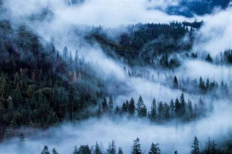 Free Images Nature Mist Atmospheric Phenomenon Natural Landscape