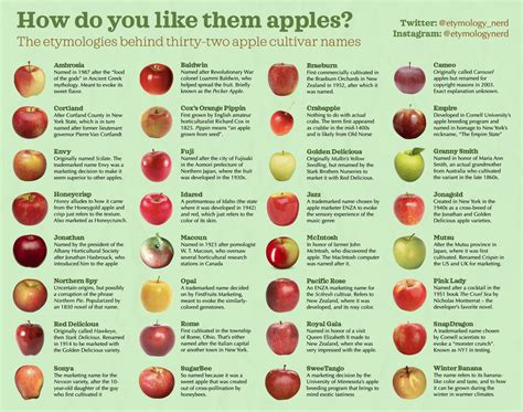 I Made An Infographic Explaining How Different Apple Varieties Got