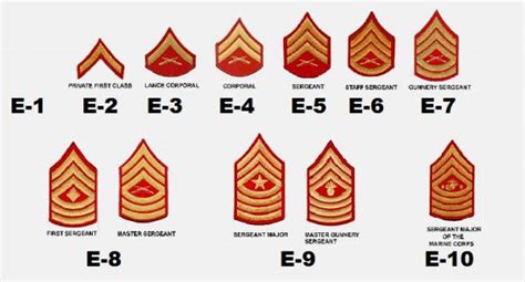 United States Marine Corps Enlisted Rank Insignia